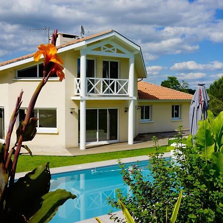 Carignan-de-Bordeaux Villa Alba. Piscine Grand Jardin Hauts De Bordeaux מראה חיצוני תמונה