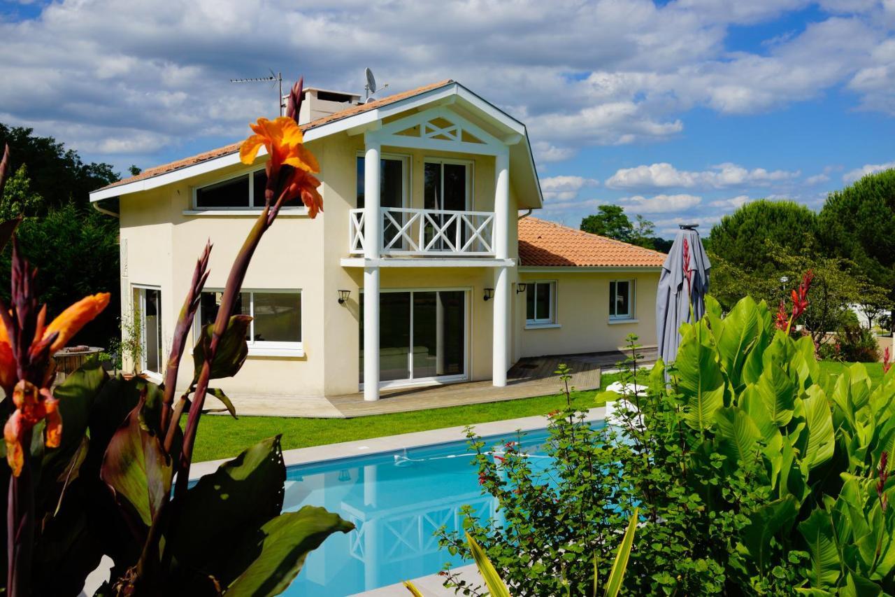 Carignan-de-Bordeaux Villa Alba. Piscine Grand Jardin Hauts De Bordeaux מראה חיצוני תמונה
