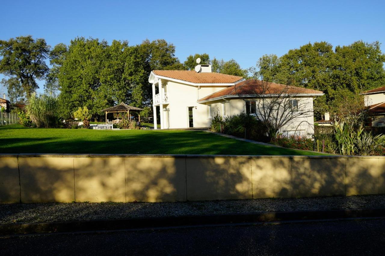 Carignan-de-Bordeaux Villa Alba. Piscine Grand Jardin Hauts De Bordeaux מראה חיצוני תמונה